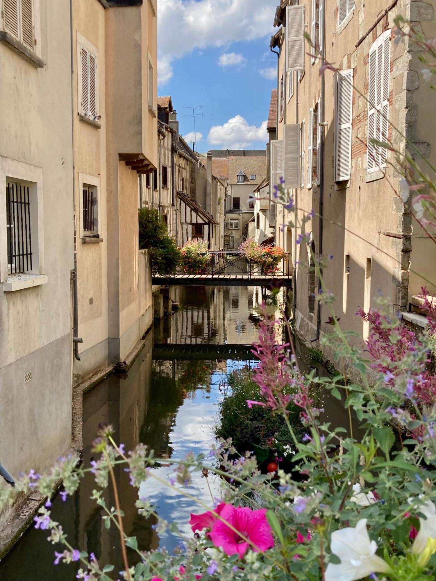 La Maison Virginie 1 A 2 Pers Charmant Hyper Centre- Cour- Parking- Linge- Fibre- Proximite Lac Canal Piscine モンタルジ エクステリア 写真