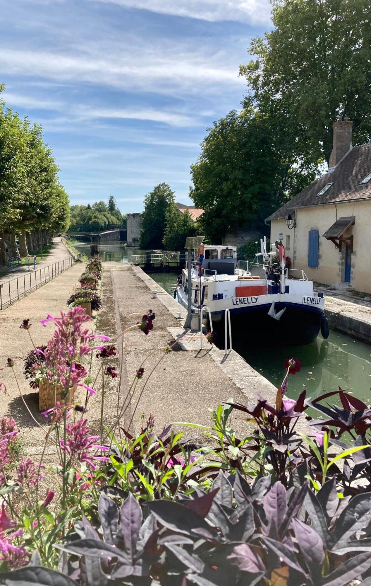 La Maison Virginie 1 A 2 Pers Charmant Hyper Centre- Cour- Parking- Linge- Fibre- Proximite Lac Canal Piscine モンタルジ エクステリア 写真