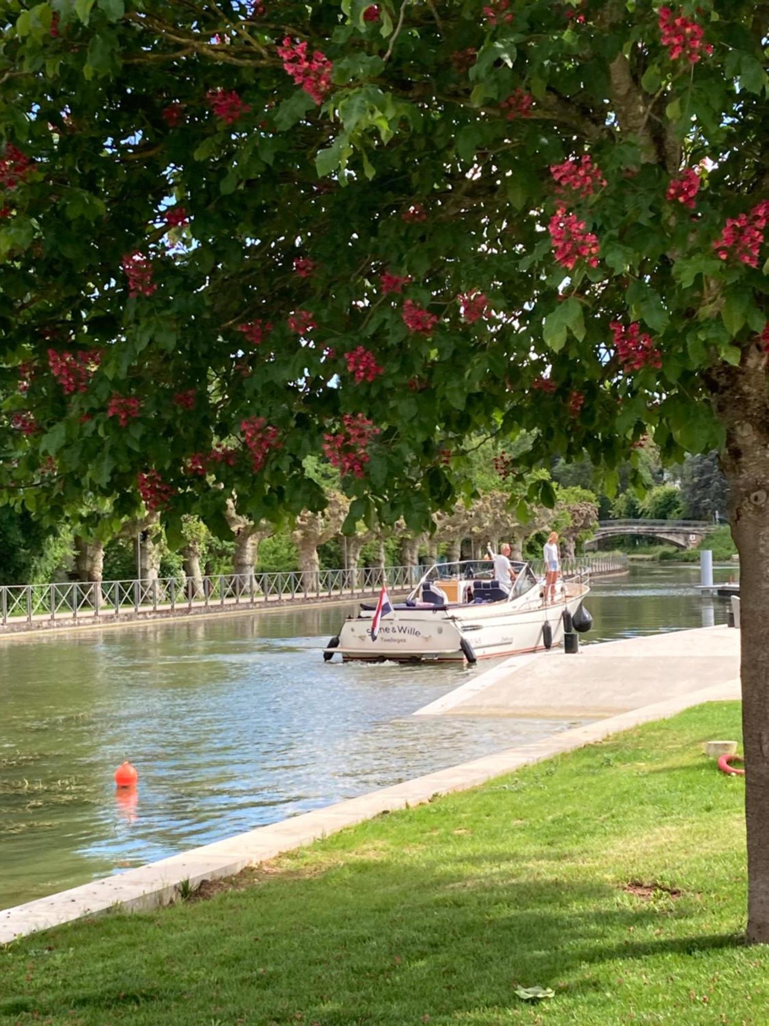 La Maison Virginie 1 A 2 Pers Charmant Hyper Centre- Cour- Parking- Linge- Fibre- Proximite Lac Canal Piscine モンタルジ エクステリア 写真