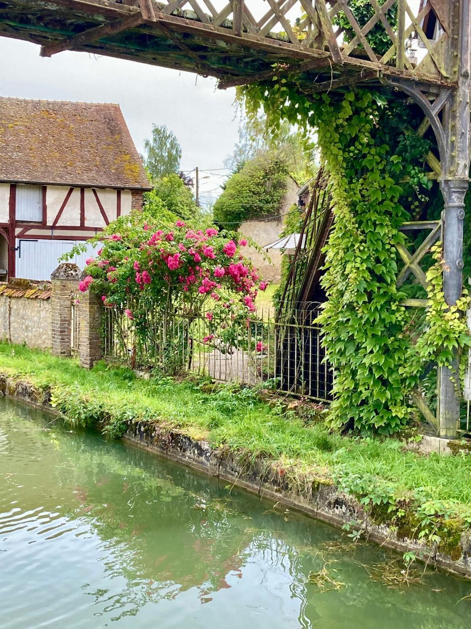 La Maison Virginie 1 A 2 Pers Charmant Hyper Centre- Cour- Parking- Linge- Fibre- Proximite Lac Canal Piscine モンタルジ エクステリア 写真
